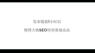 黑帽SEO培训，外推秒收秒排基础课程培训，从发布到收录整个过程