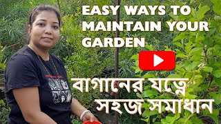 Rooftop garden in the urban area |শহুরে এলাকায় ছাদের বাগান | Rooftop garden ideas