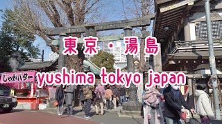 東京 散歩動画 湯島 Tokyo Walk Cityscape in Yushima