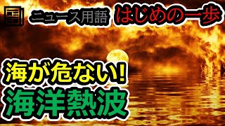 簡単に学ぶ。熱波は地上だけじゃない！海の中の熱波。「海洋熱波」