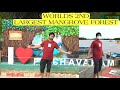 Worlds 2nd | largest mangrove forest | pichavaram | Tamil Nadu  - Rizwan’s explore