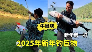 钓鱼不打窝等于白钓，2025年第一杆钓巨物，果然没失望！#钓鱼#钓鱼人#户外钓鱼#钓友