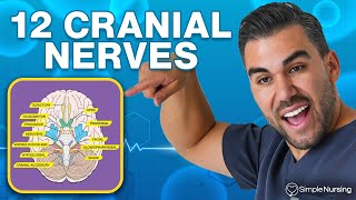 How to Memorize the 12 Cranial Nerves with Mnemonics: Order, Function \u0026 Memory Tricks