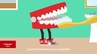 Cómo cepillarse los dientes correctamente | Colgate®