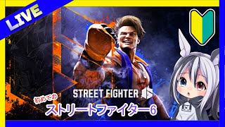 【STREET FIGHTER6】初心者がいくストリートファイター6🐰