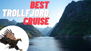 🆕Trollfjord Cruise With Sea Eagle Safari Lofoten Eagle Safari Honest Video