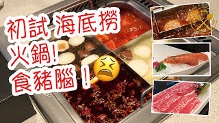 觀瀾湖 人氣 超抵食【海底撈】 火鍋 食豬腦 😩（新城→觀瀾湖酒店）- Mission Hills My First Haidilao Hotpot Experience