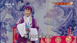 《中国京剧像音像集萃》 20191010 京剧《桃花村》 1/2| CCTV戏曲