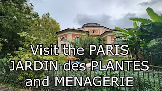 A Quiet Break Spot - Jardin des Plantes and the Menagerie