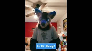 *Boops the Snoot* #boop #furry #furyou #seratonin #furrytiktok #fyp #furrymeme #furries #furryfandom