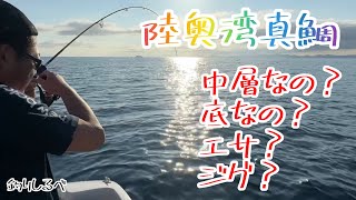 陸奥湾　真鯛釣り　in蓬田