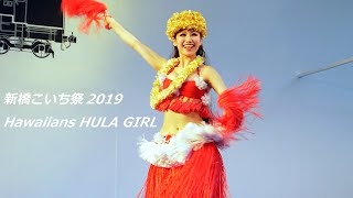 4K60P　HAWAIIANS  HULA GIRL　新橋こいち祭2019