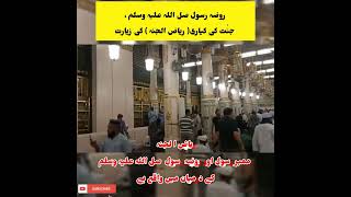 Riyazul Jannah aur Roza E Rasool (SAW) ki Ziyarat || Masjid Nabvi || Madina Shareef ||New Video