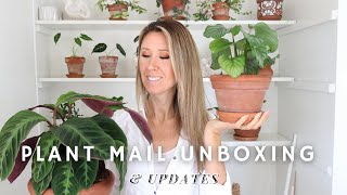 Plant Mail Unboxing + Updates