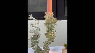 Glass modified candlestick  如何用碎玻璃改造燭台