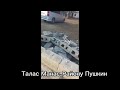 Талас Манас Району Пушкин