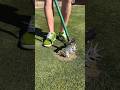 The 4 Most ASMR Ways to Fix a Lawn