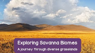 🌿 Exploring the Savanna Biome: Wildlife, Climate, and Ecosystems 🌿
