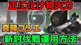 恐ろしい火力真暗プリエの運用方法2【ニーアリィンカーネーション】