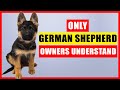 Things NOBODY tells you about owning a German Shepherd