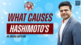 What Causes Hashimoto's Disease ?