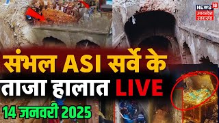 LIVE Sambhal ASI Survey Big Updates: संभल ASI सर्वे के ताजा हालात लाइव |Jama Masjid | Survey Report