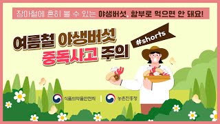 #농진청shorts 야생버섯 함부로 드시면 안 돼요!🍄 #shorts