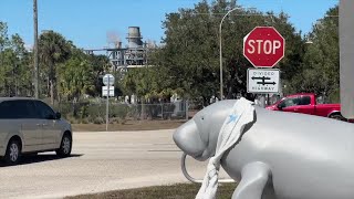 Manatee deaths in Lee County raise questions about Florida Power & Light plant shutdown