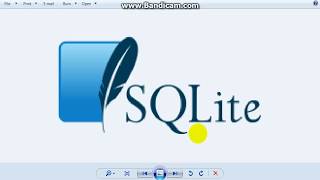 Python SQLite3 Tutorial 5 Reading data from a Database
