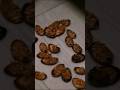 Get Rid off Cockroaches Just One Minutes #mrmaker #experiment #tips