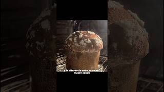 EL LIEVITO NATURALE DEL PANETTONE (y la masa madre sólida) #recetas #panettone #food #foodie