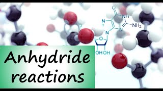 Qin OrgChem Anhydride reactions