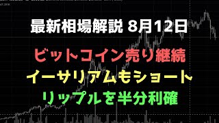 リップルを半分利確｜ビットコイン、イーサリアム、リップルの値動きを解説