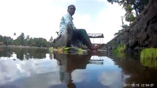 Amazing Vembanad lake- Underwater video HD