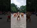 Monkey Dance🐒 viral video 2024 #viralvideo #youtubeshorts #youtube #shorts #video