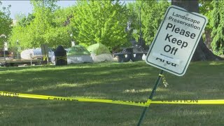 Protester who refused to move from Old Ada County Courthouse lawn in 2024 sentenced