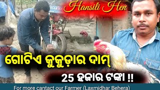 କୁକୁଡ଼ା ଆପଣଙ୍କୁ କରିପାରେ ଲକ୍ଷ୍ୟପତି ?।। ଗୋଟିଏ କୁକଡ଼ା ର ଦାମ୍ 25 ହଜାର ଟଙ୍କା! କୁକୁଡ଼ା ନେବାକୁ ଲୋକଙ୍କ ଆଗ୍ରହ