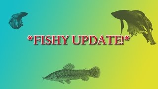 FISH ROOM UPDATE 11/07/2016