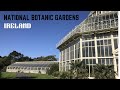 NATIONAL BOTANIC GARDENS (Ireland)