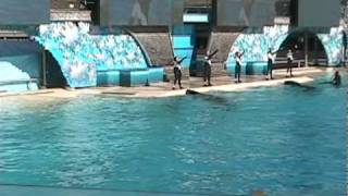 Sumar, Kasatka, Kalia, Nakai - Believe SplashTime (February 2008)