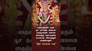 தொட்டது துலங்கும் தைப்பூச நன்னாள்! Lord Murugan