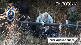 В Костромской области раскрыты два убийства пенсионеров, совершенные в условиях неочевидности