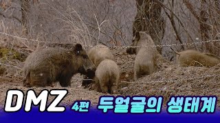 정전60년 다큐멘터리 DMZ 제4편두얼굴의생태계 [미래실험] KBS 2013.08 04 방송