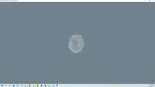 VTK Python Test - FixedPointVolumeRayCastMapperCT - MIP