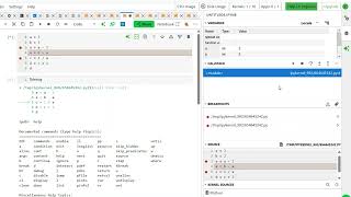 Day 3: Code Debugging in a Notebook