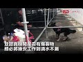 韓國瑜台中造勢 偵爆犬也來了