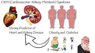 CKM syndrome, Cardiovascular-Kidney-Metabolic syndrome: symptoms, risks and treatment