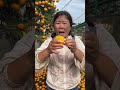 amazing oranges 🍊🍊🍊🍊 shorts ytshorts fruits