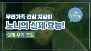 노니주스의 효능, 어떤 노니를 먹어야 할까? (실제 후기 )