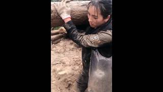 Girl carrying nearly 100 kg logs in mud and rain in high mountains